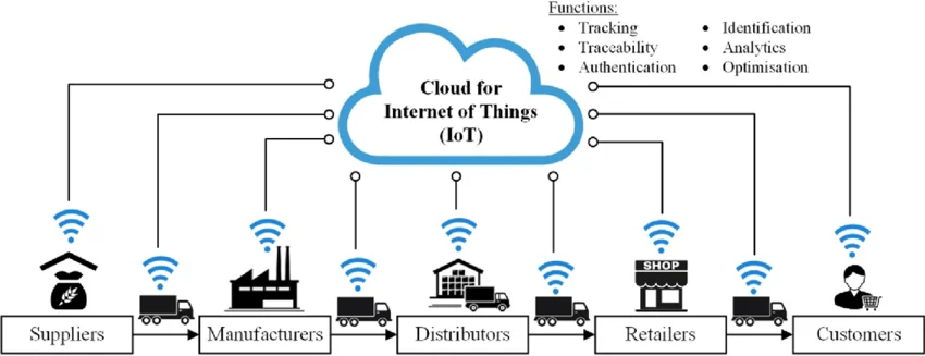 Supply Chain