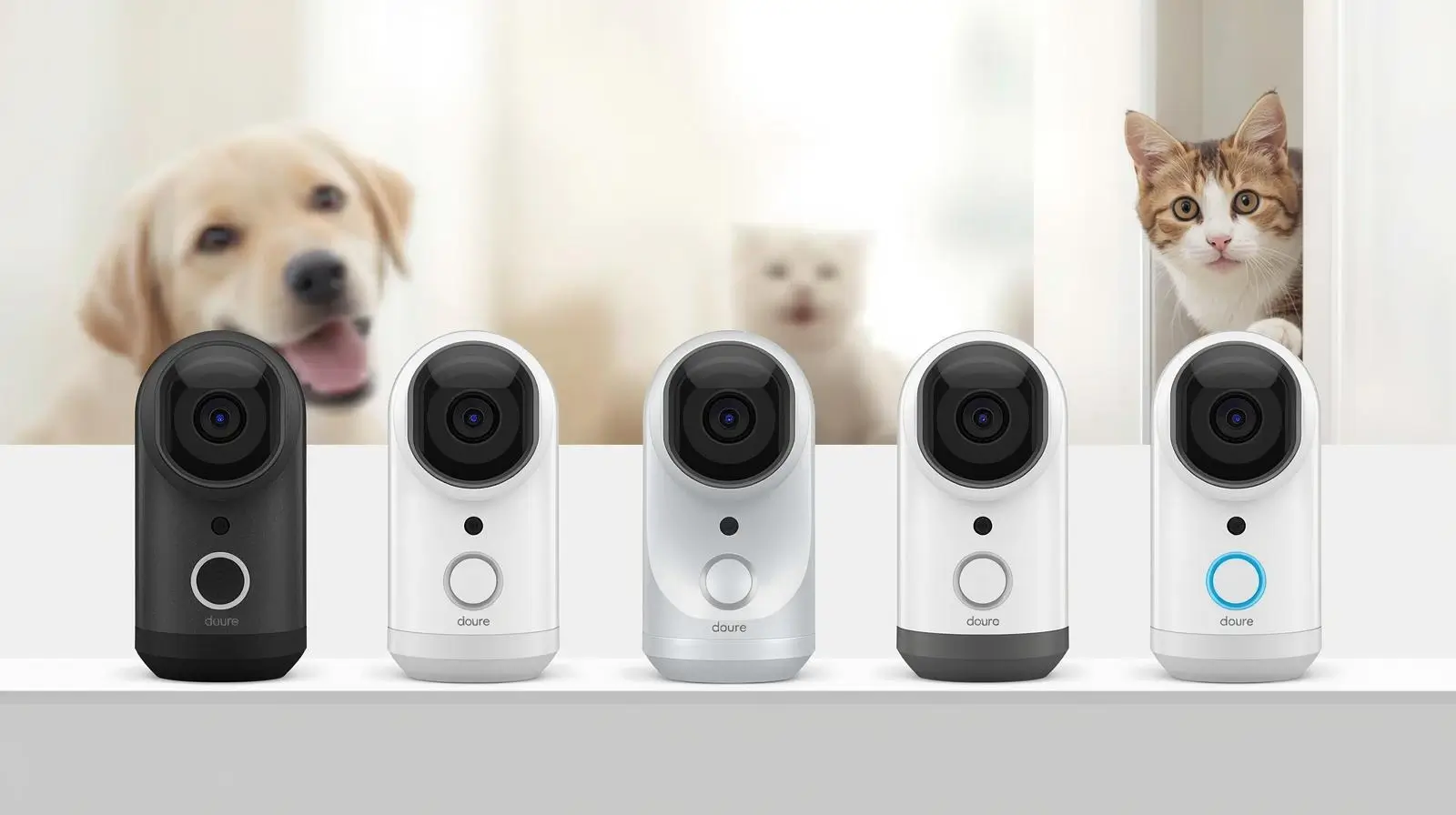 Top 5 IoT Pet Cameras: Comparing Features and Benefits - Featured Image